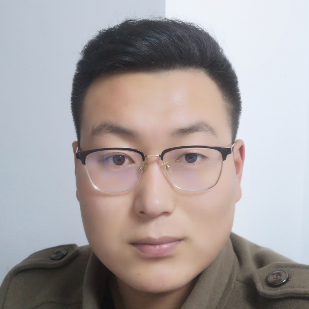 玫瑰淡然的照片