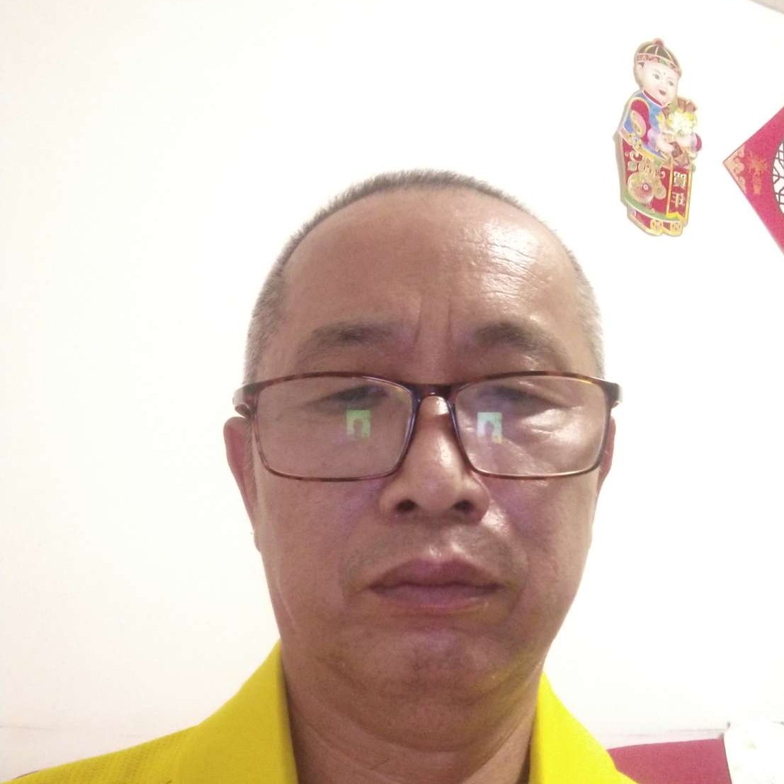 小海豚给受伤的照片