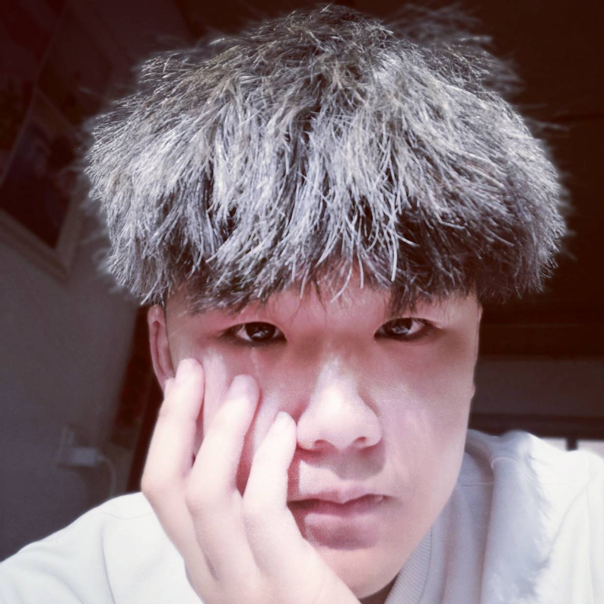 辛易的照片