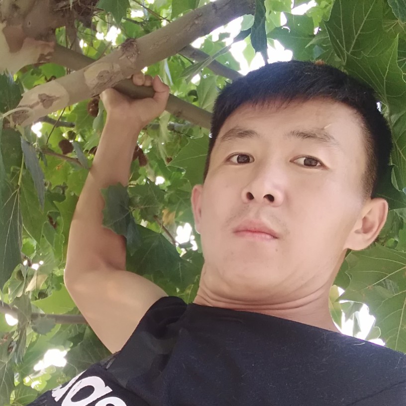 狼180808的照片