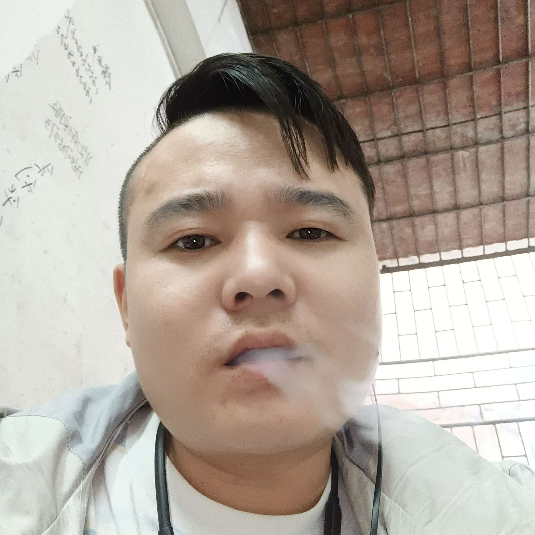 向日葵漫步傲娇的照片