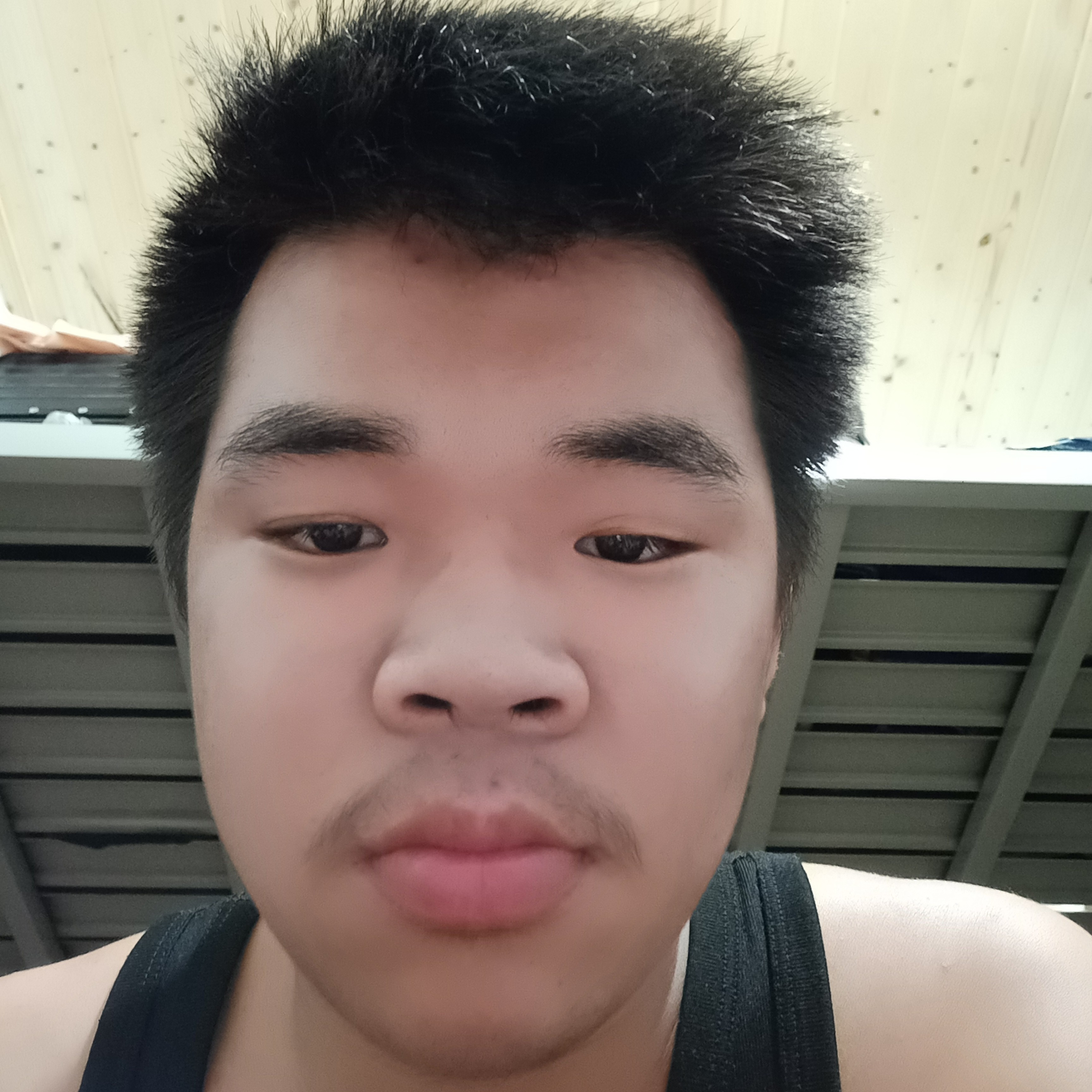 乌龟倾心傻傻的照片