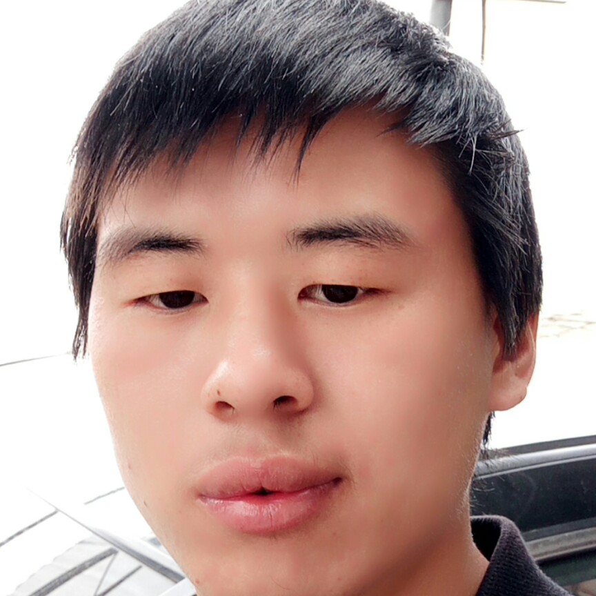 小白菜繁荣的照片