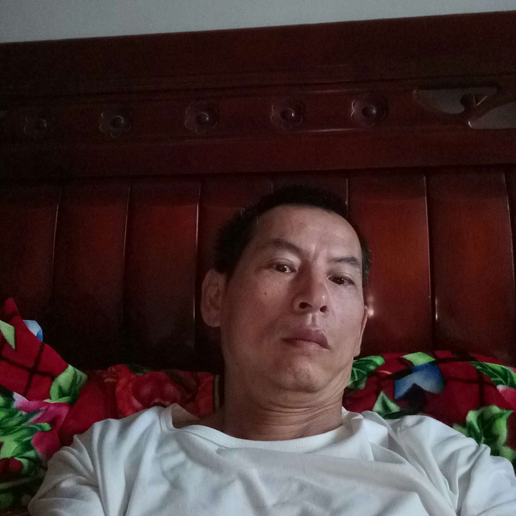 魔幻爱恋蛋挞的照片