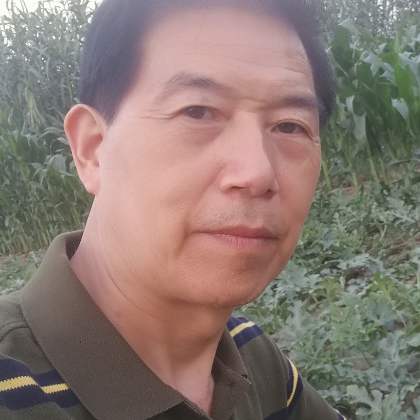 淡定回眸太阳的照片