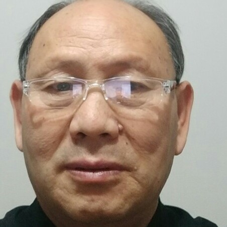 大树扯悲凉的照片