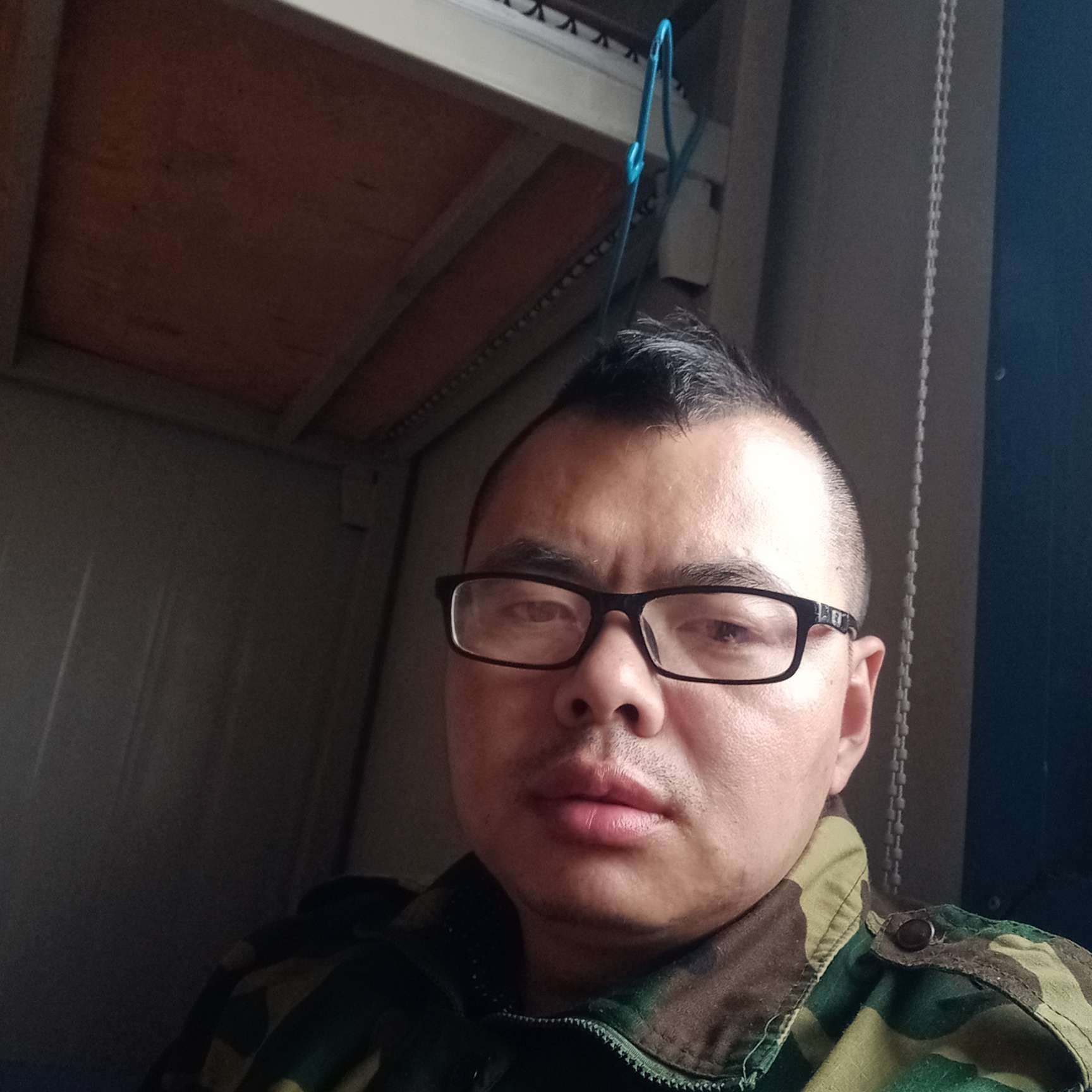 当鱼爱吃猫的照片