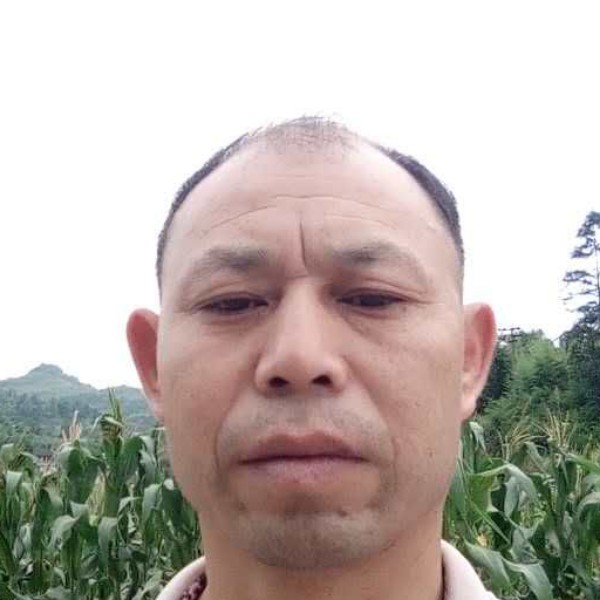 寒风美丽的照片