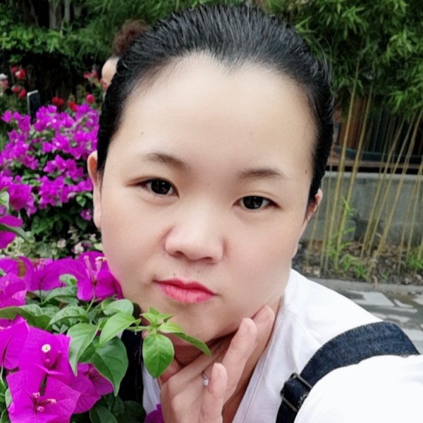 小海豚冷静的照片