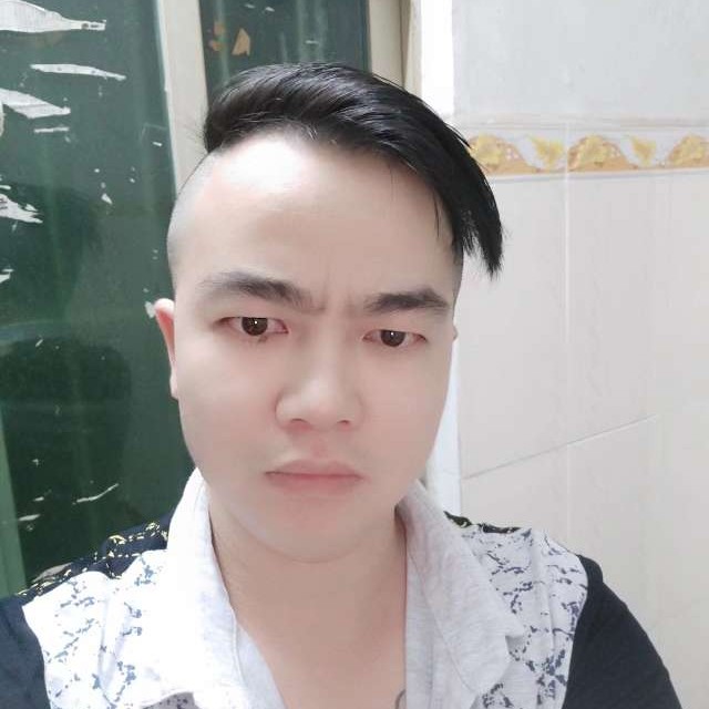 大雁迎俊秀的照片
