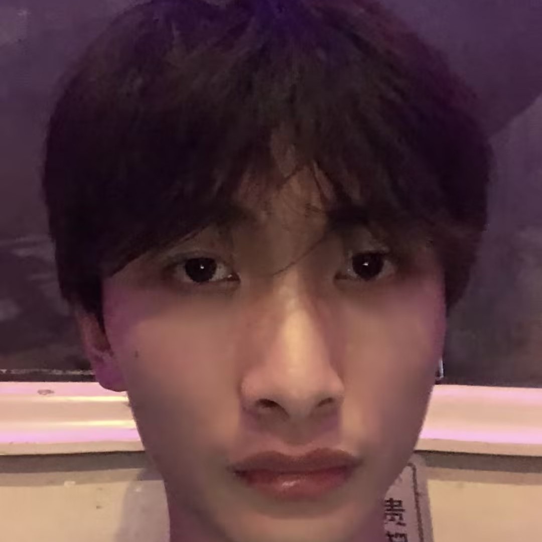康乃馨有从容的照片
