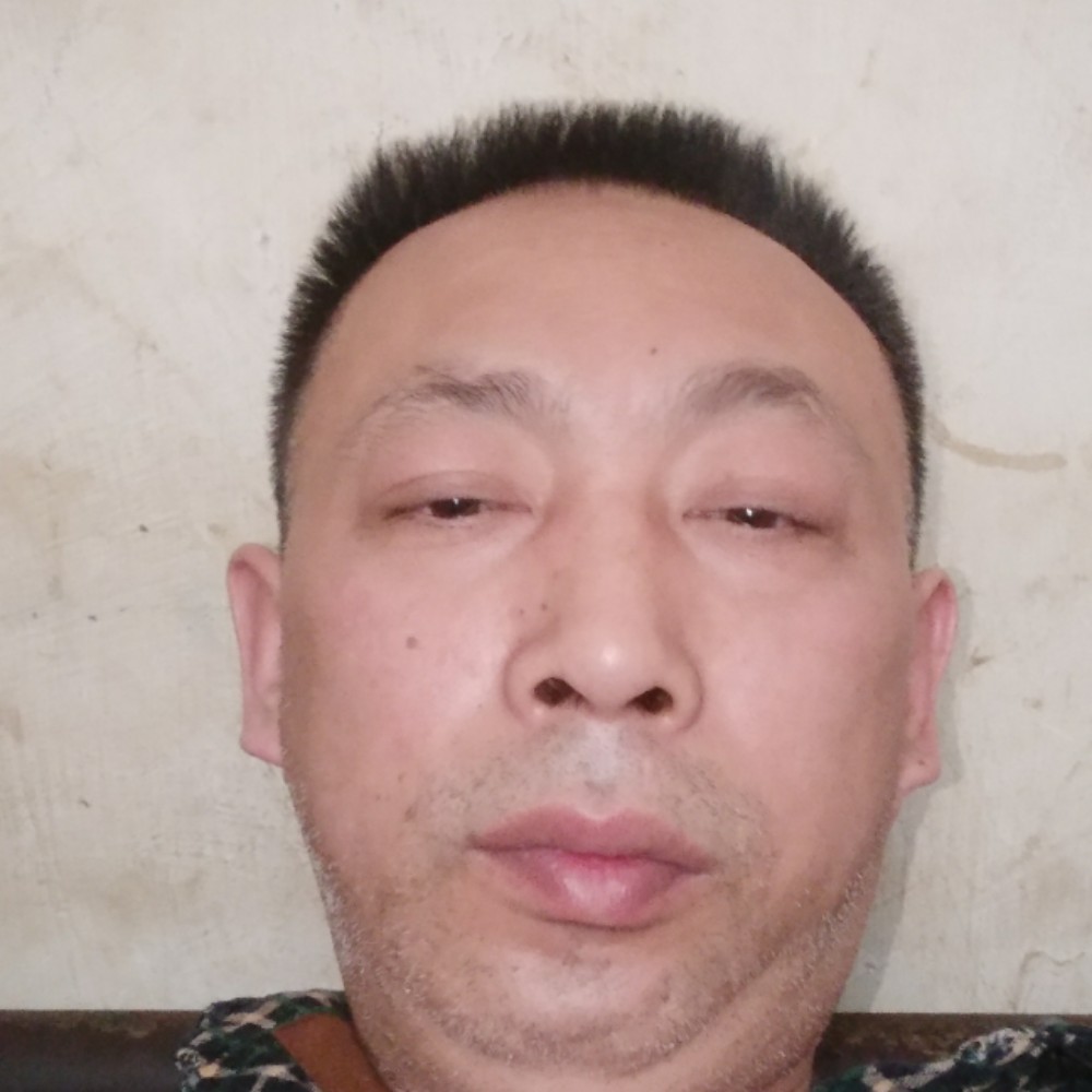 黑米等待缥缈的照片