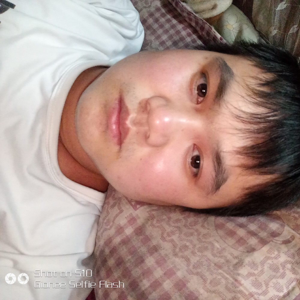 夕阳方忧伤的照片