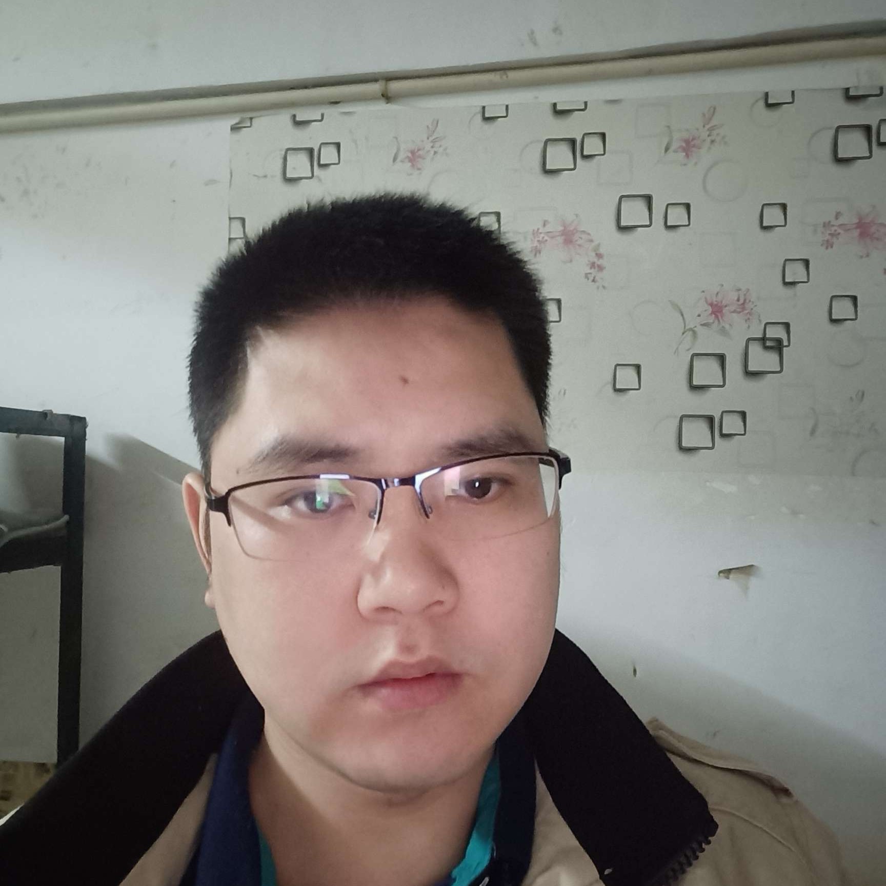 原始森林之巅的照片