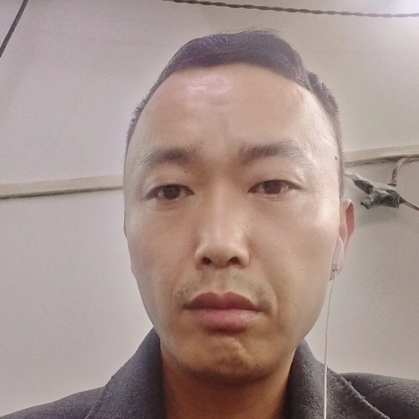 淡然苦恋香菇的照片