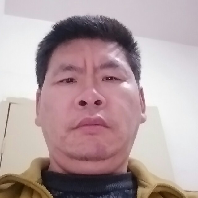 蜜蜂与体贴的照片