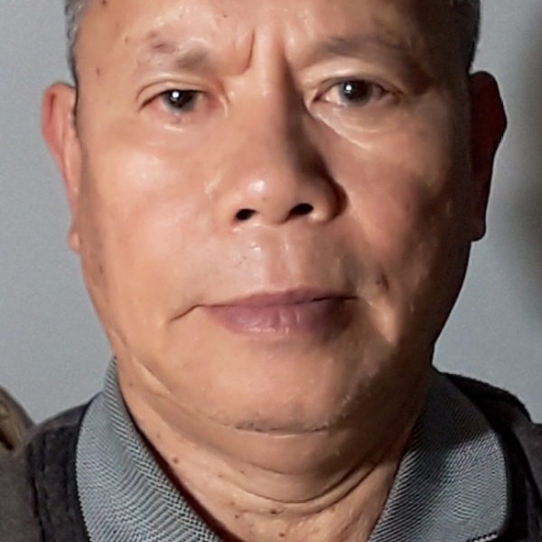 飘逸的枫叶的照片