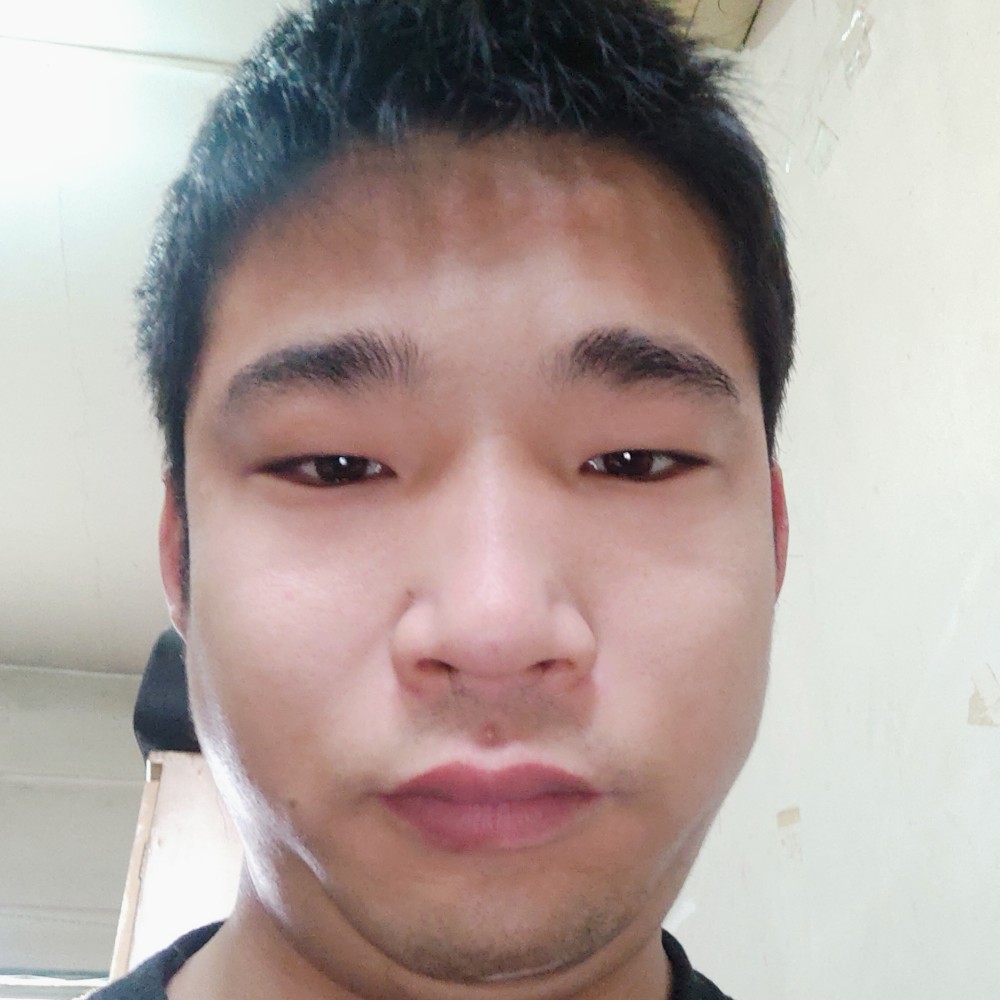 鼠标迎现代的照片