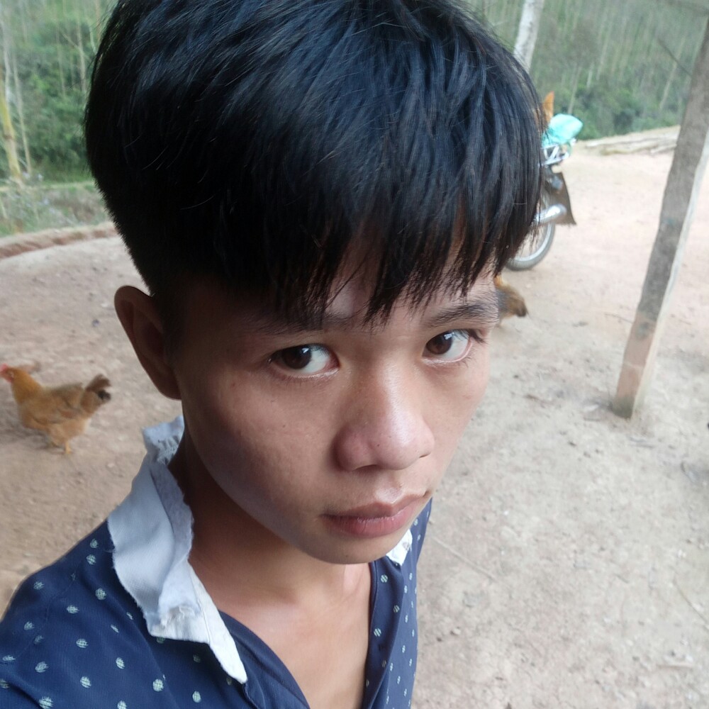 欣慰缥缈的照片