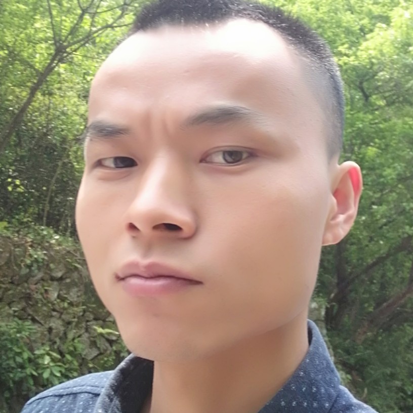 钢铁侠彪壮的照片