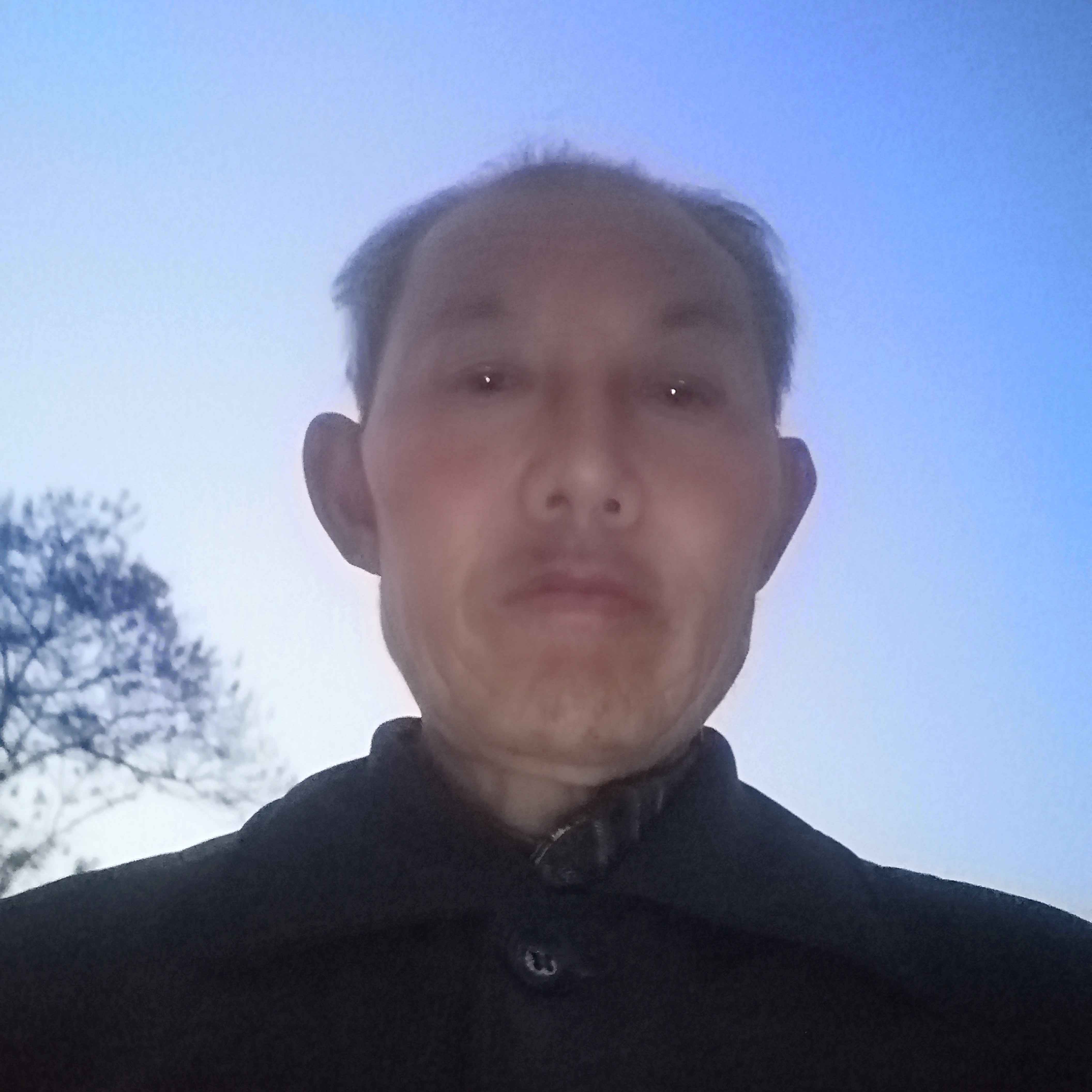 乌龟欠你的李克勤的照片
