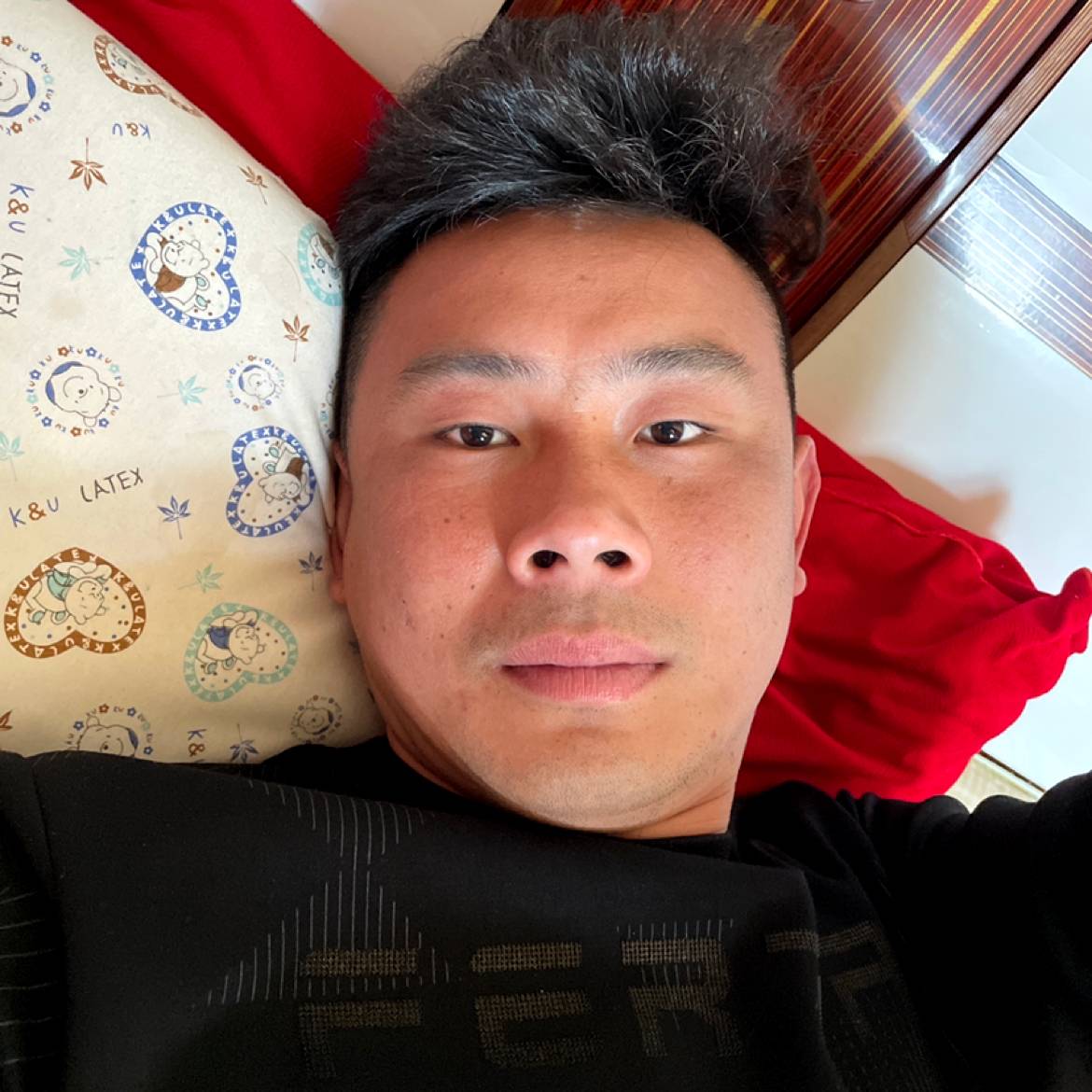 平淡与大象的照片