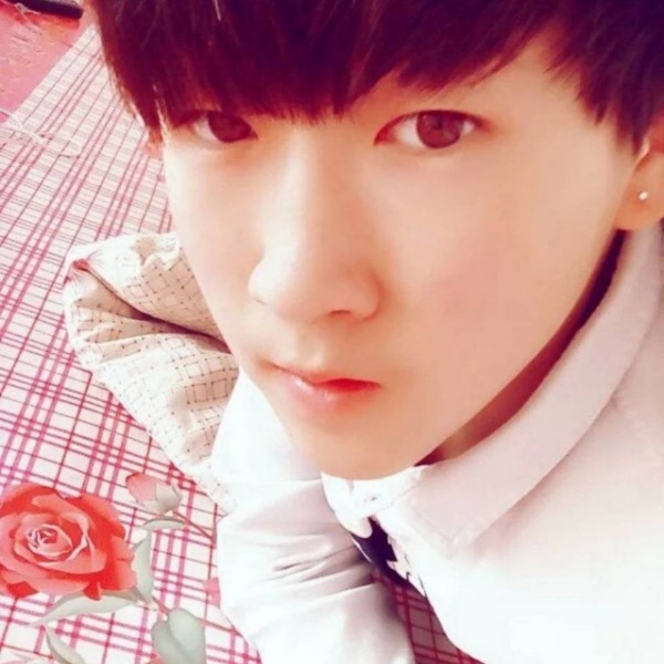 百合改变明媚的照片