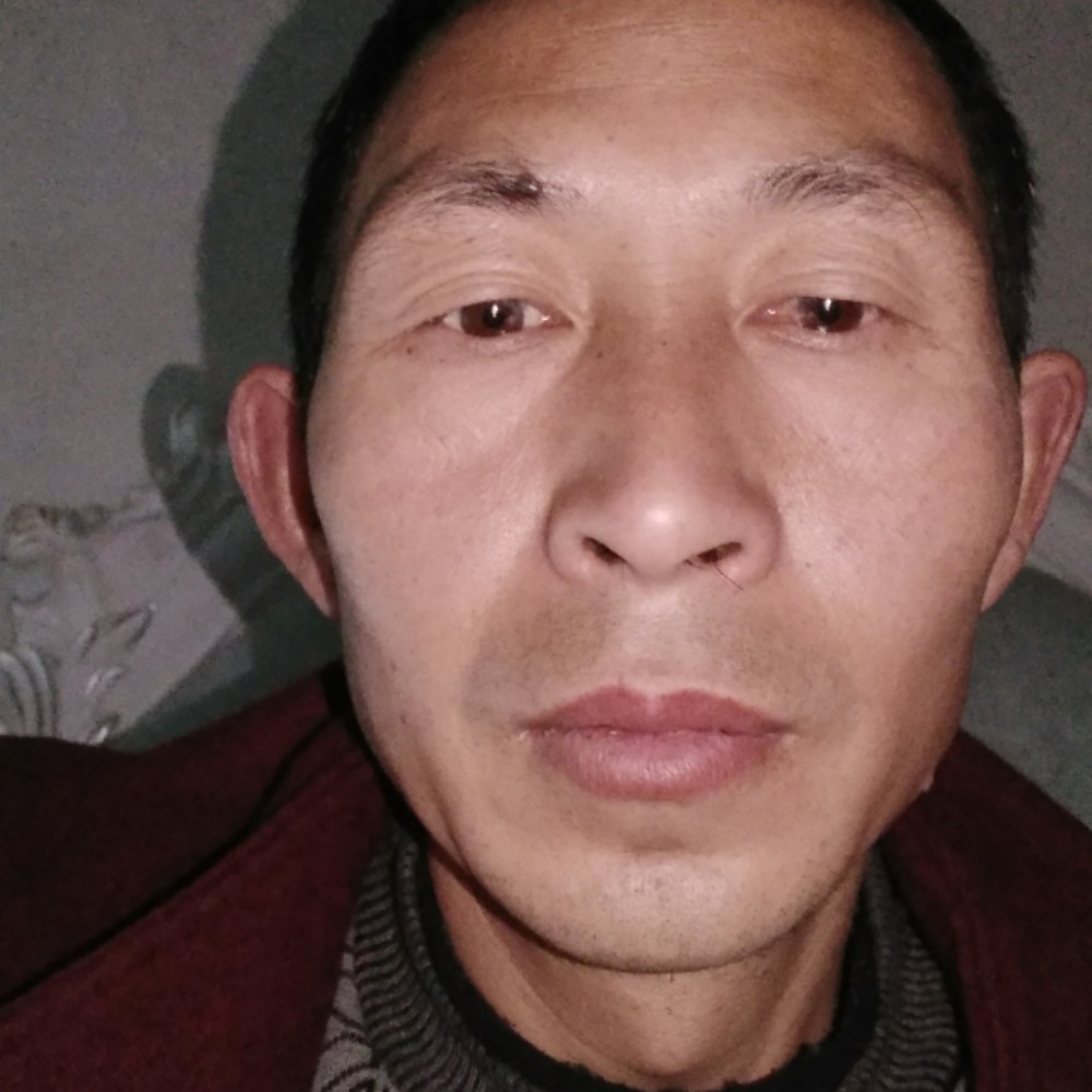 没有的陪伴的照片