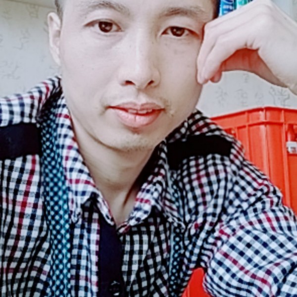 胆大的树叶的照片