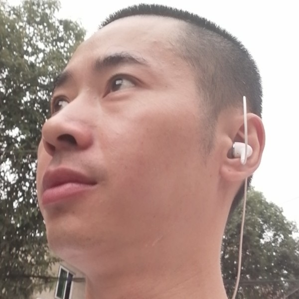 13145858的照片