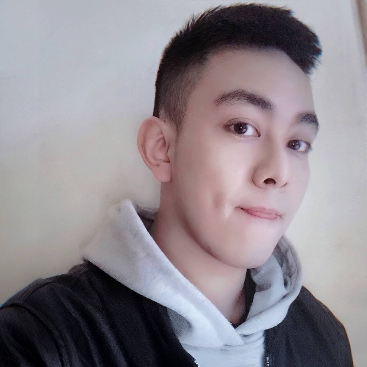 椰棕树的照片