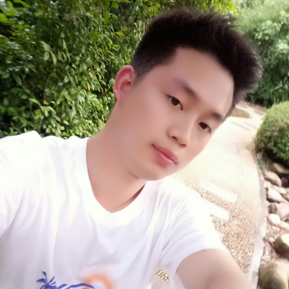 坚定无可取代的的照片