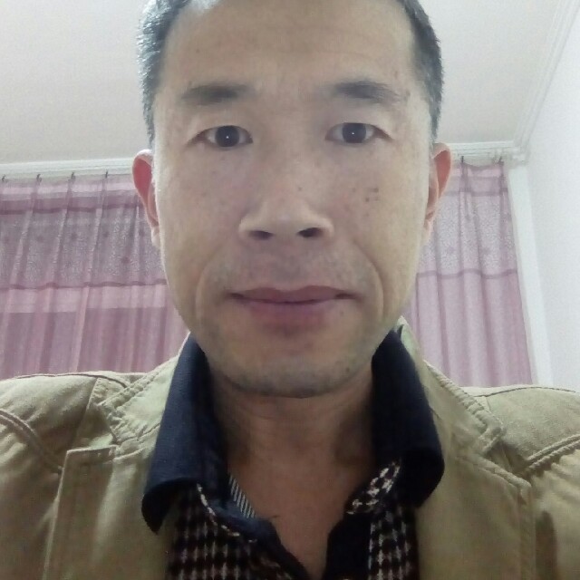 平鹰的照片