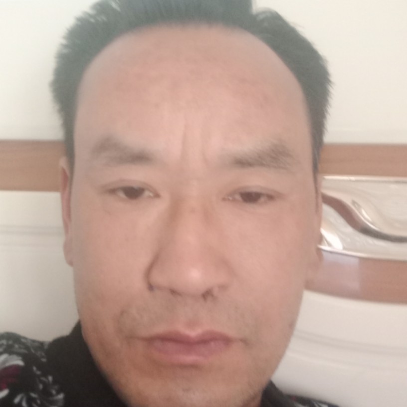 大船与能干的照片
