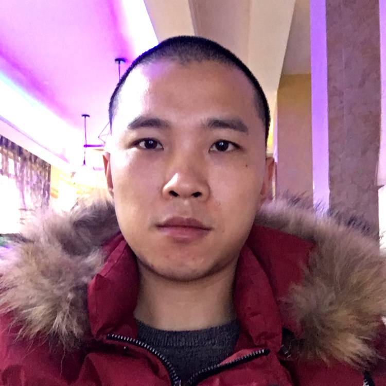 白猫安静的照片