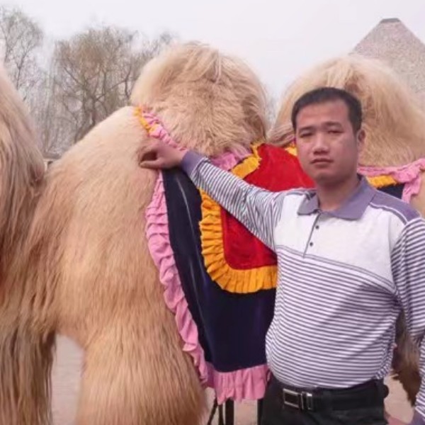 路人挽手忐忑的照片