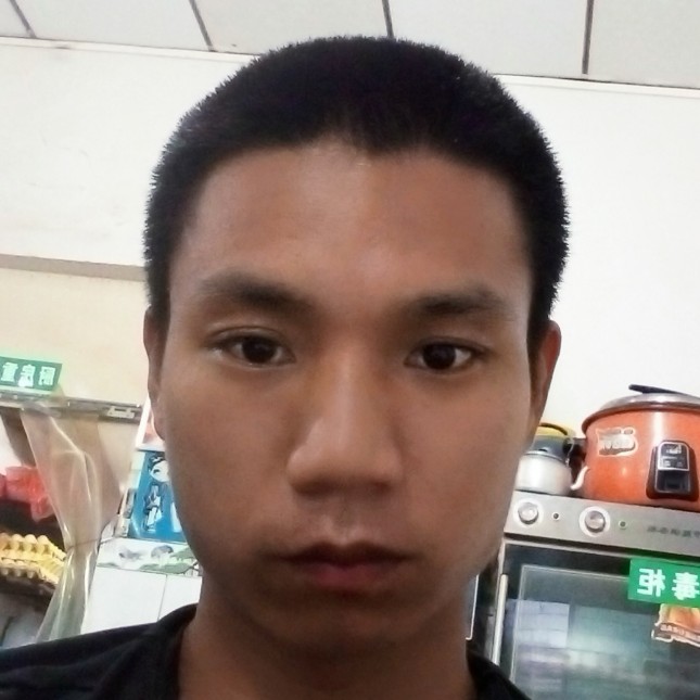 来凤鱼的照片