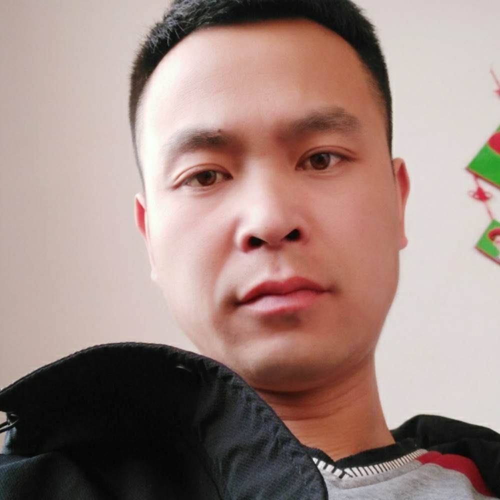 汉堡倾心爱撒娇的照片