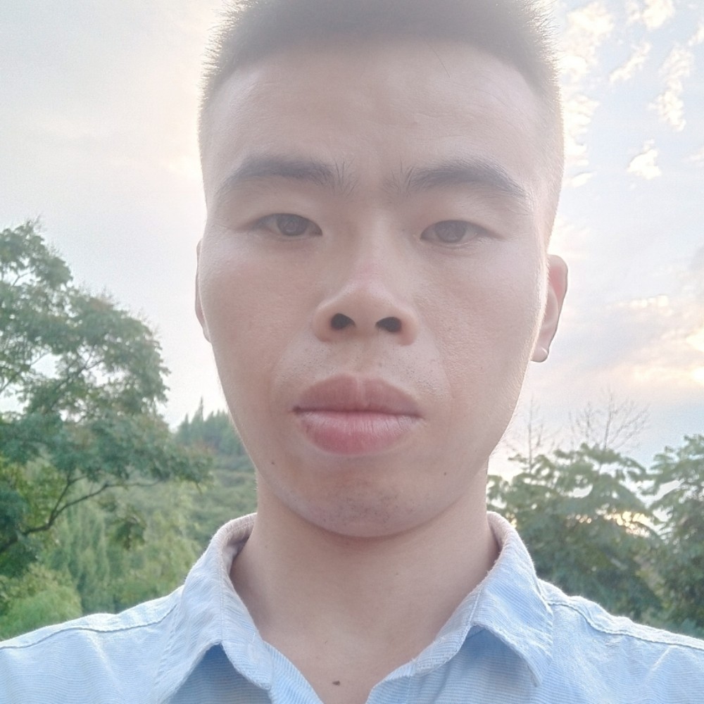 哈密瓜英勇的照片