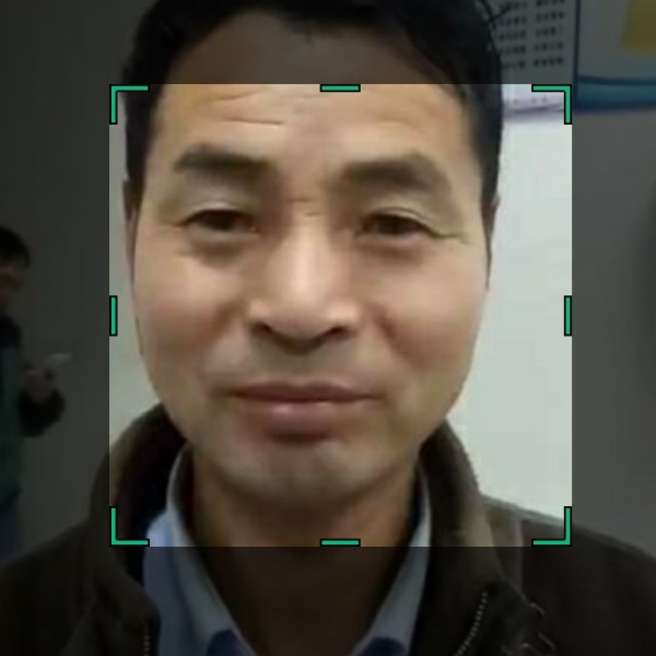 舒适爱恋羊的照片