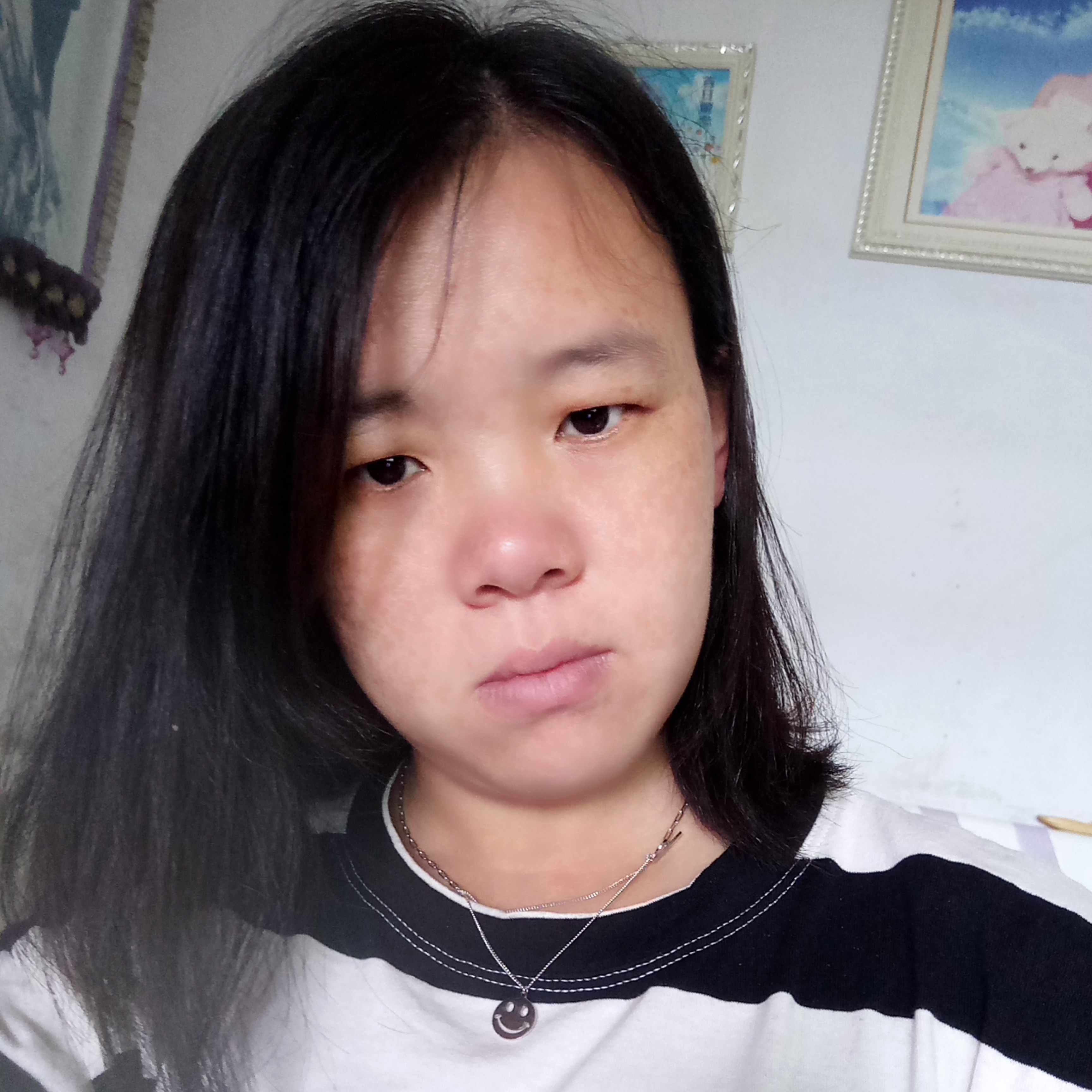 向日葵的照片