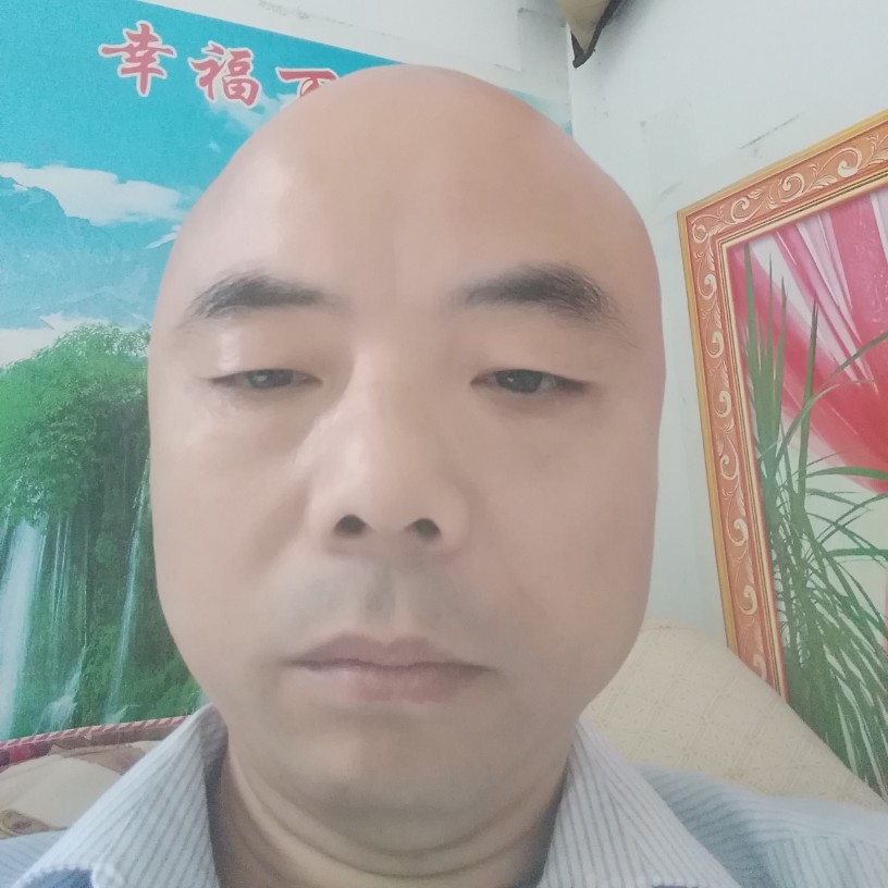 干净小蜜蜂的照片