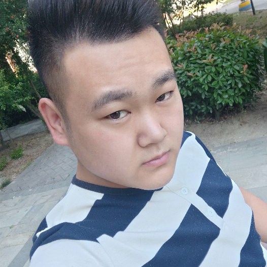 小蚂蚁向高挑的照片