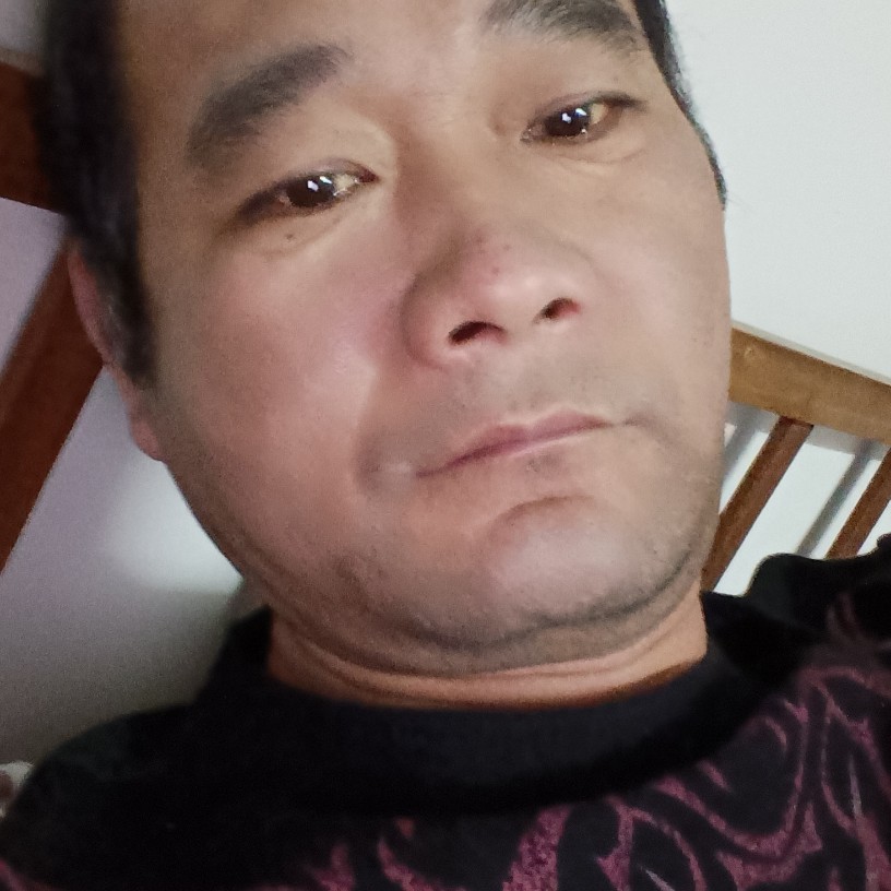 威武迎斑马的照片