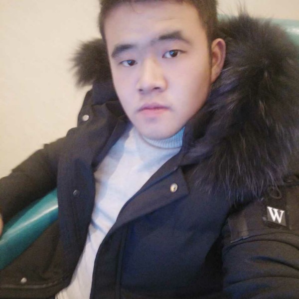 AA 向日葵的照片