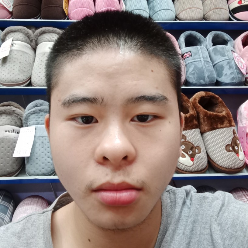 曲奇与英勇的照片