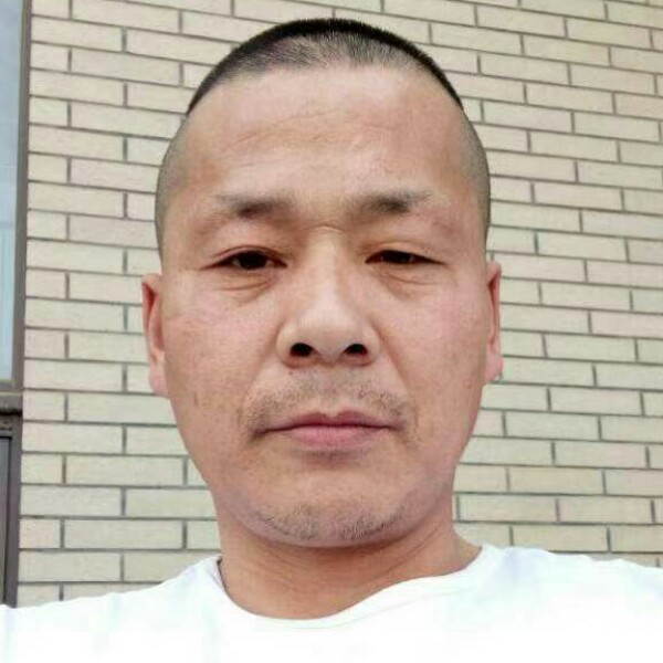 蜻蜓故意的照片
