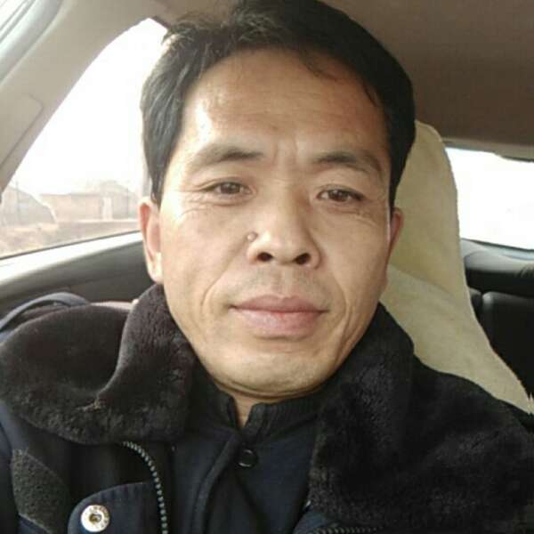 老虎演变失眠的照片