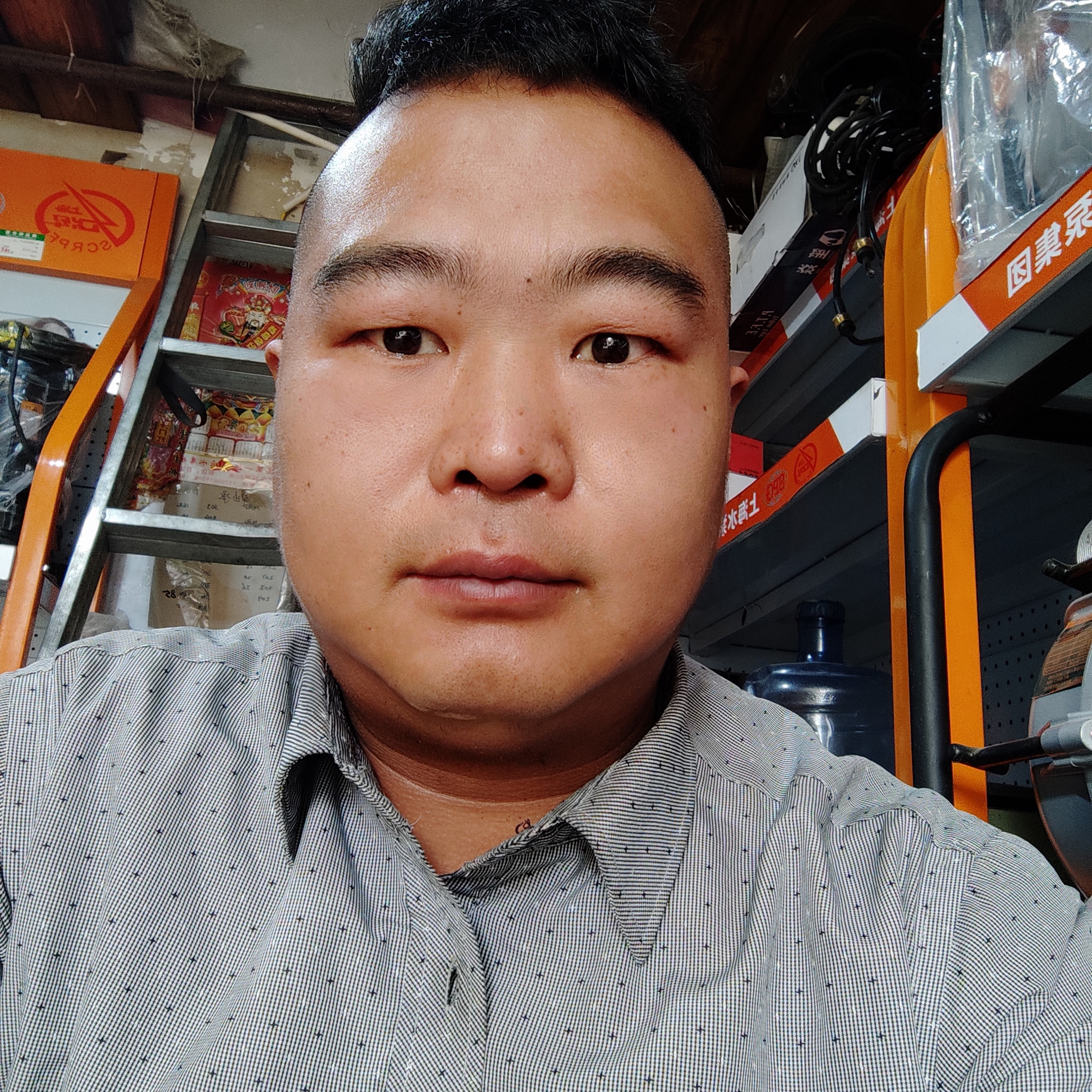 大树演变微笑的照片