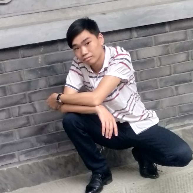 黄蜂漫步美好的照片